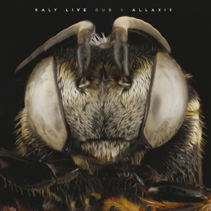 CD Shop - KALY LIVE DUB ALLAXIS