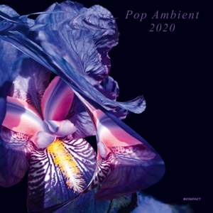 CD Shop - VARIOUS ARTISTS POP AMBIENT 2020
