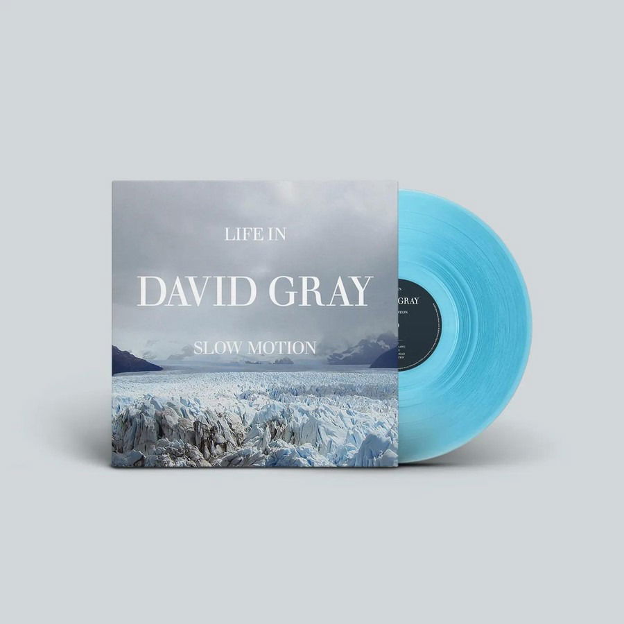 CD Shop - GRAY, DAVID LIFE IN SLOW MOTION 20TH A