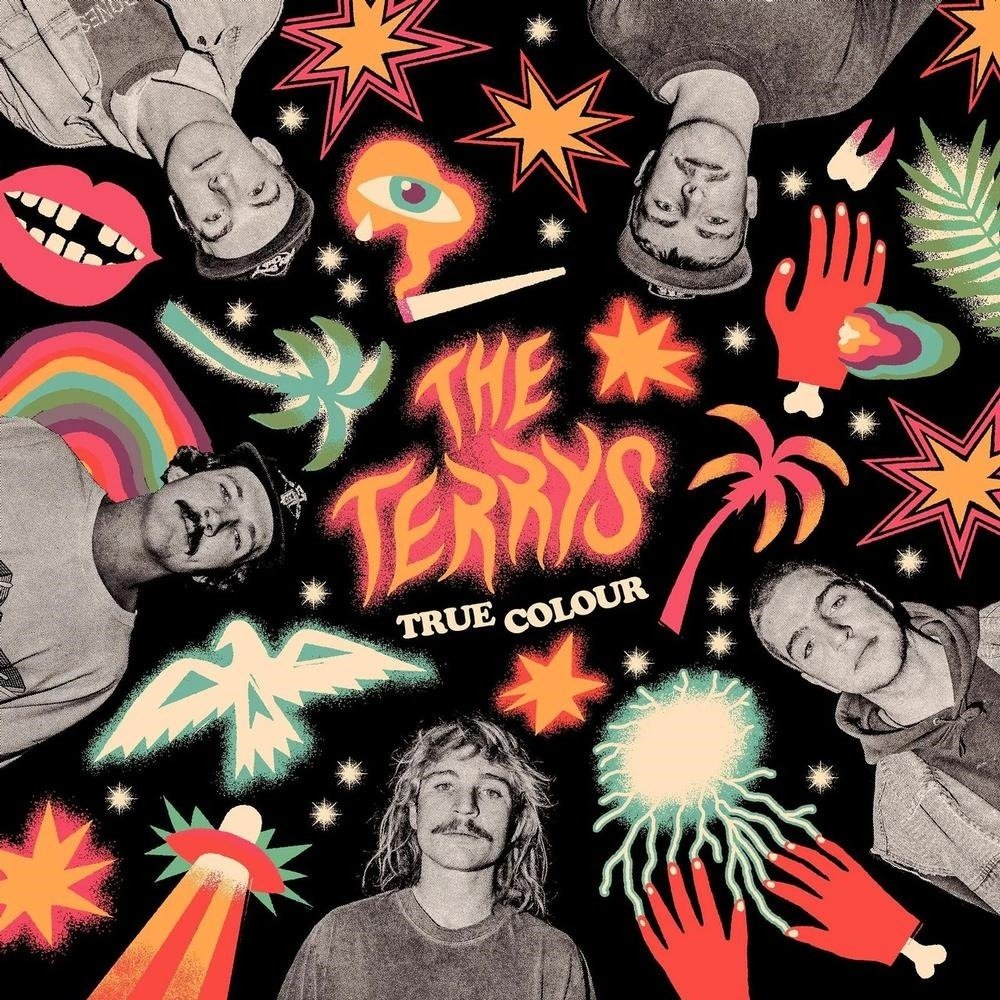 CD Shop - TERRYS TRUE COLOUR