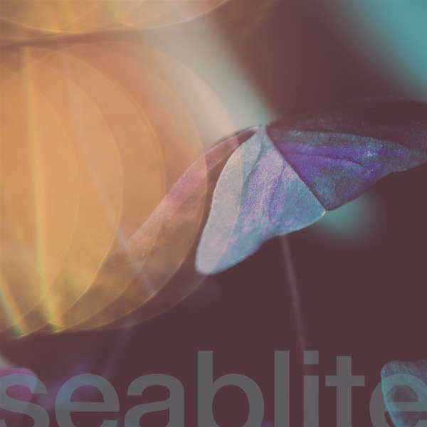 CD Shop - SEABLITE BREADCRUMBS