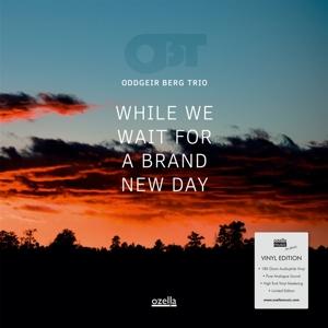 CD Shop - ODDGEIR -TRIO- BERG WHILE WE WAIT FOR A..