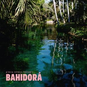CD Shop - VARIOUS ARTISTS AFRICA EXPRESS PRESENT...