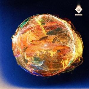 CD Shop - WOODS OF BIRNAM SOLARIS