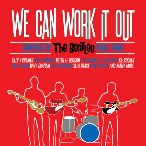 CD Shop - VARIOUS ARTISTS WE CAN WORK IT OUT
