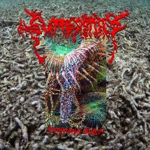 CD Shop - GUTTERSNIPE EXTINCTION BURST!