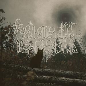 CD Shop - THE ANSWER LIES THE BLACK VOID TRANSCENDENTAL