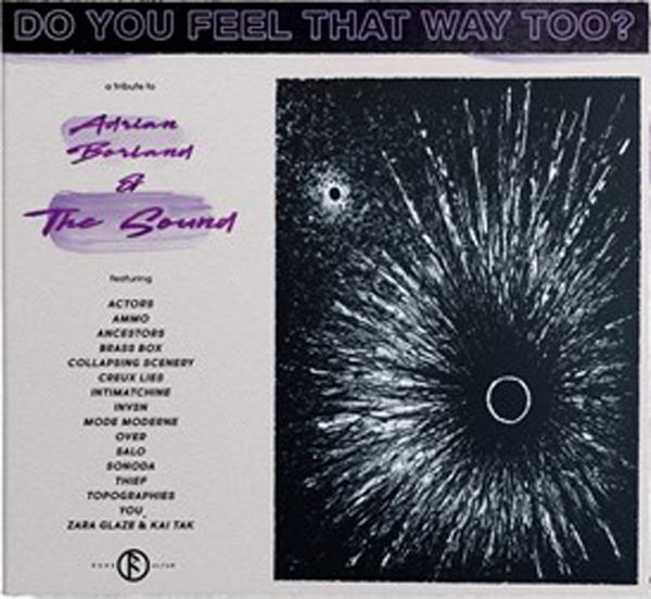 CD Shop - VARIOUS ARTISTS DO YOU FEEL THAT WAY TOO?