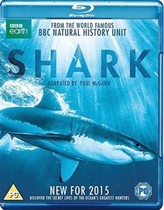 CD Shop -  SHARK