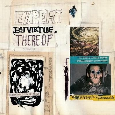 CD Shop - TUBELIGHT EXPERT BY VIRTUE THEREOF
