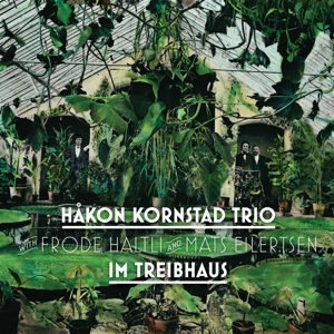 CD Shop - HAKON KORNSTAD IM TREIBHAUS