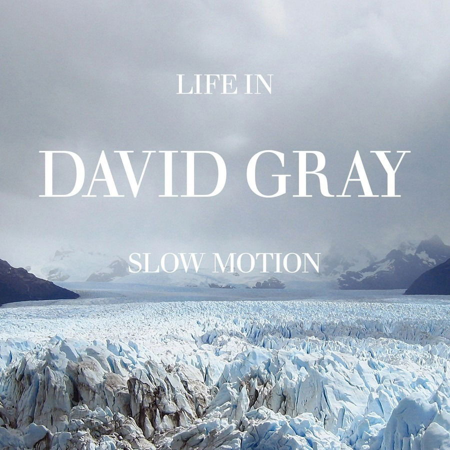 CD Shop - GRAY, DAVID LIFE IN SLOW MOTION 20TH A