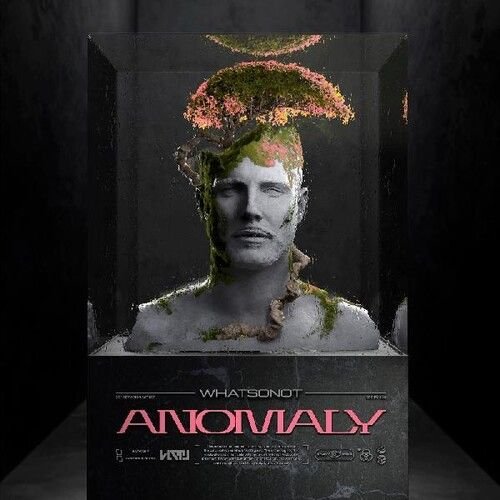 CD Shop - WHAT SO NOT ANOMALY
