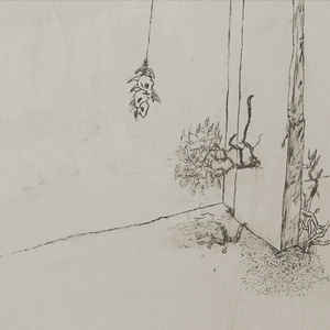 CD Shop - MARCIN CIUPIDRO TALKING TREE