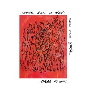 CD Shop - CALEB NICHOLS STONE AGE IS NOW: POEMS FROM LITHIC