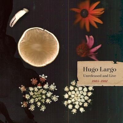 CD Shop - HUGO LARGO HUGE, LARGE AND ELECTR...