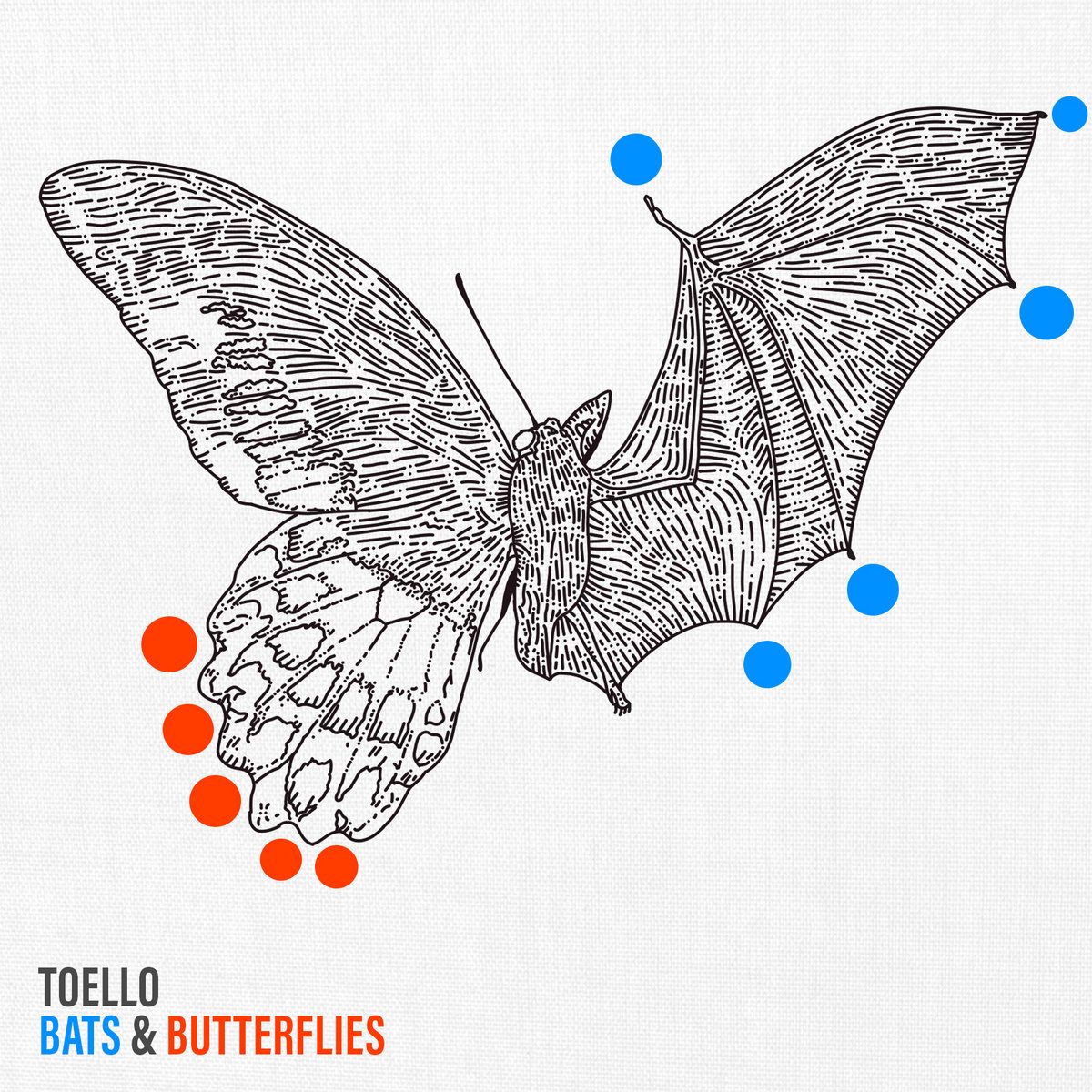 CD Shop - TOELLO BATS & BUTTERFLIES