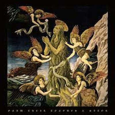CD Shop - GNAW THEIR TONGUES & SATOR GNAW THEIR