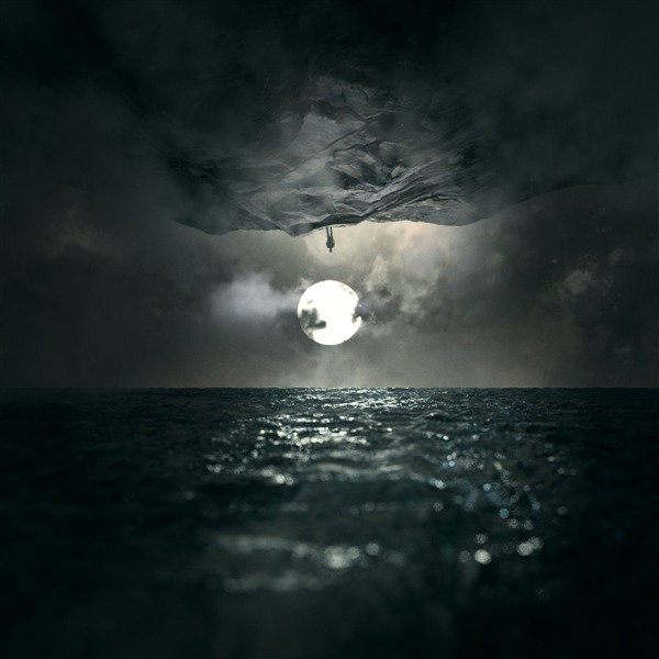 CD Shop - WOODEN VEINS IN FINITUDE