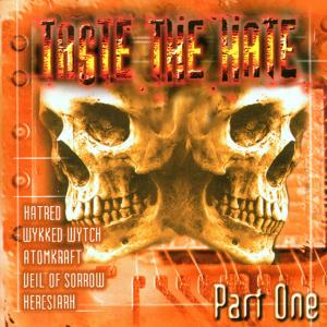 CD Shop - VARIOUS ARTISTS TASTE THE HATE PART 1