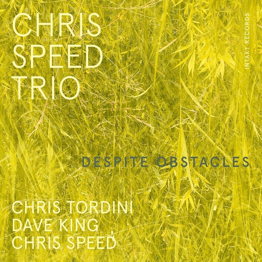 CD Shop - CHRIS -TRIO- SPEED DESPITE OBSTACLES