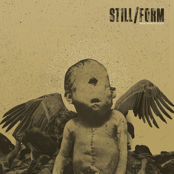 CD Shop - STILL FROM THE ROT IS THE GIFT