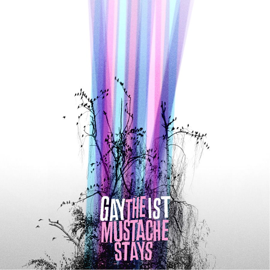 CD Shop - GAYTHEIST MUSTACHE STAYS