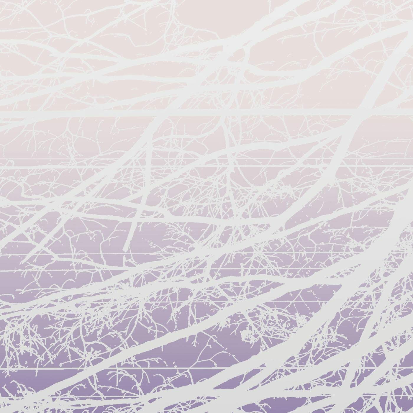 CD Shop - LEA BERTUCCI METAL AETHER / RESONAN...