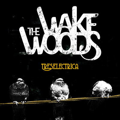 CD Shop - WAKE WOODS TRESELECTRICA