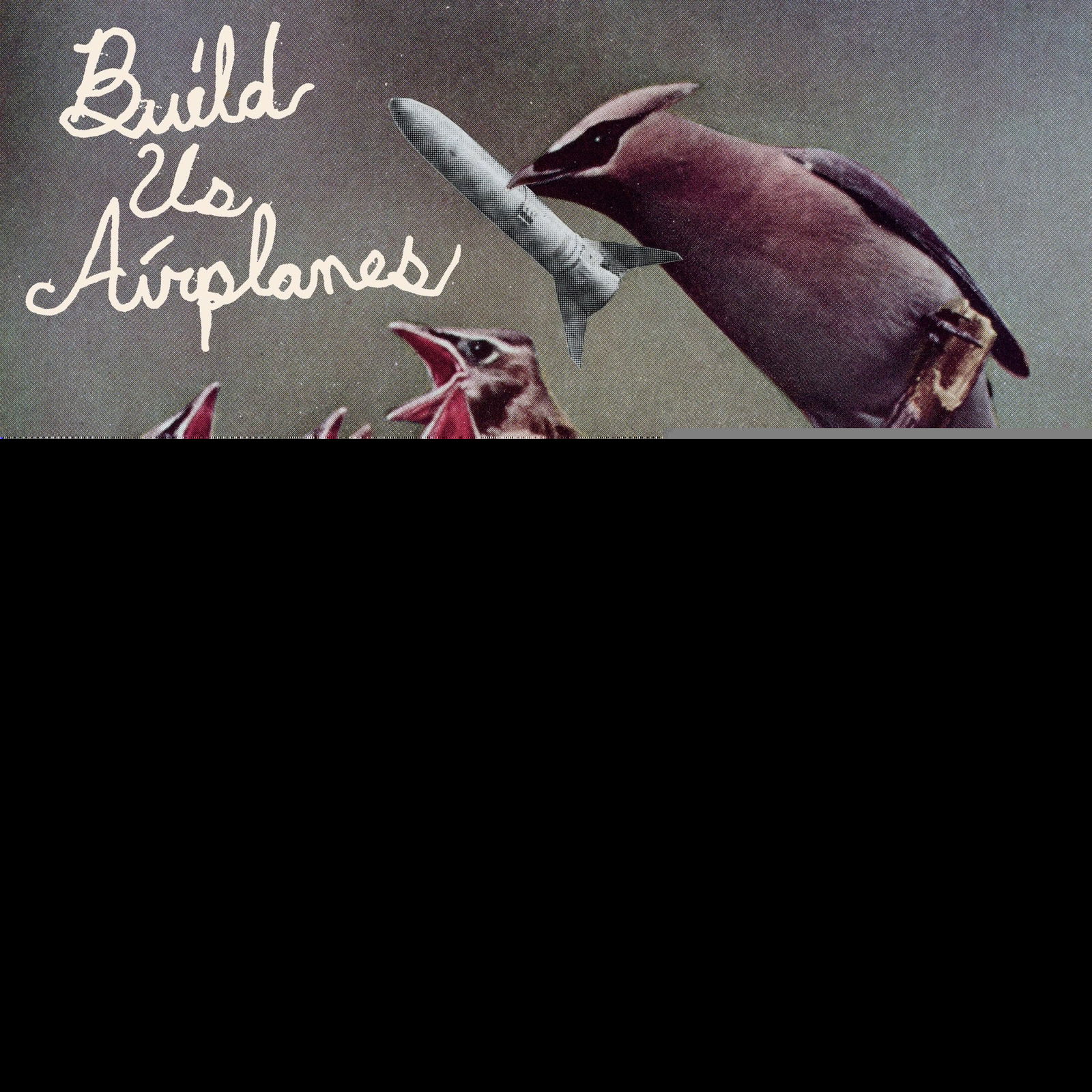 CD Shop - BUILD US AIRPLANES ALL THINGS EXPIRE