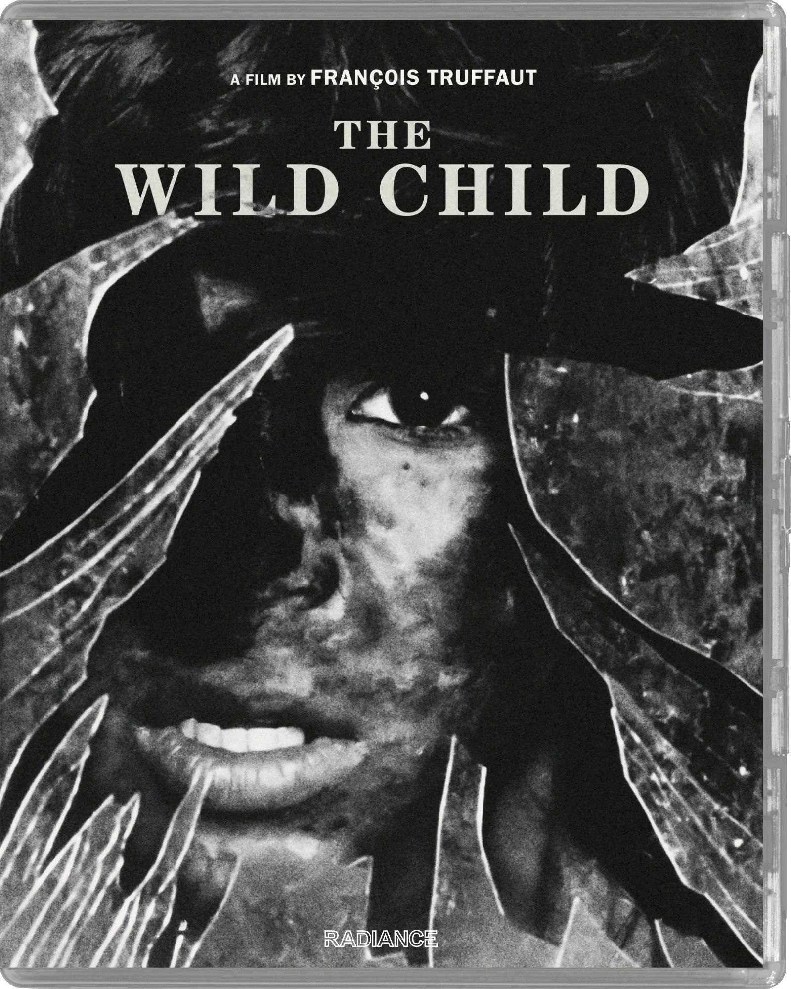 CD Shop -  WILD CHILD