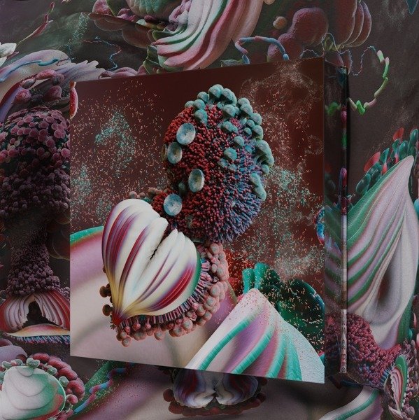 CD Shop - BJöRK FOSSORA