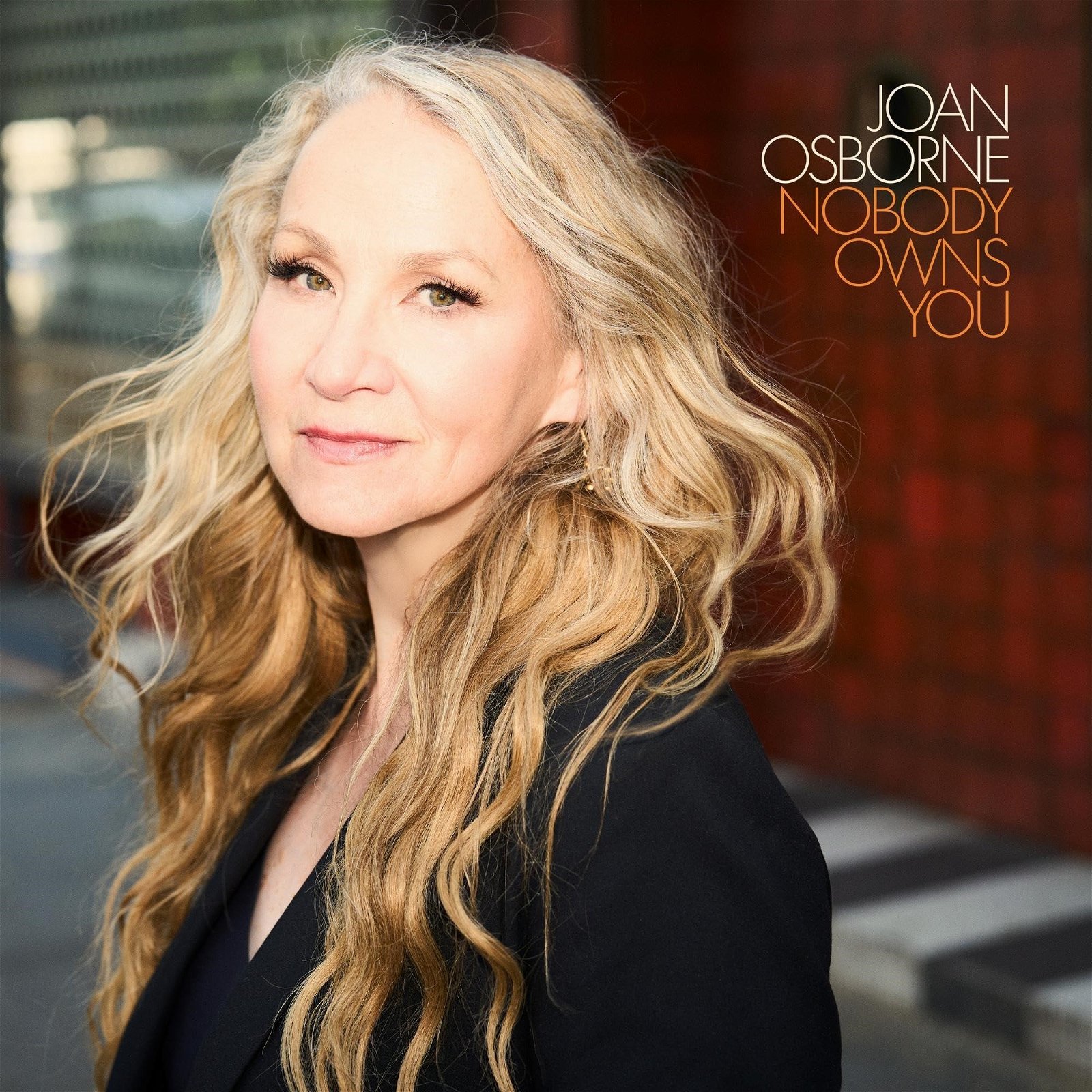 CD Shop - JOAN OSBORNE NOBODY OWNS YOU