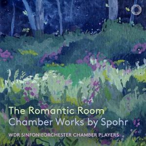 CD Shop - WDR SINFONIEORCHESTER CHAMBER PLAYERS ROMANTIC ROOM: CHAMBER...