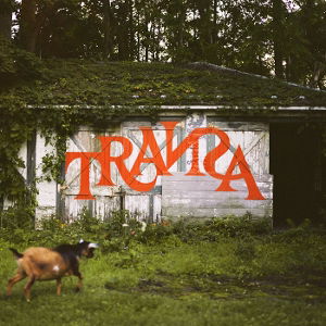 CD Shop - VARIOUS ARTISTS TRANSA