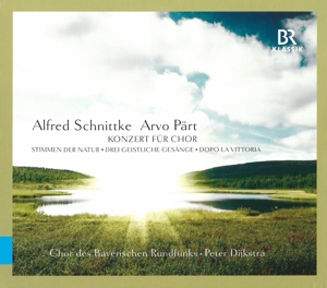 CD Shop - SCHNITTKE STIMMEN DER..
