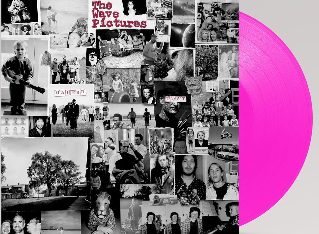 CD Shop - THE WAVE PICTURES GAINED/LOST