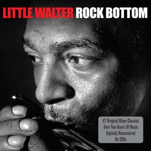 CD Shop - LITTLE WALTER W. BABY FACE LEROY, MUDDY WATERS, J. ROCK BOTTOM