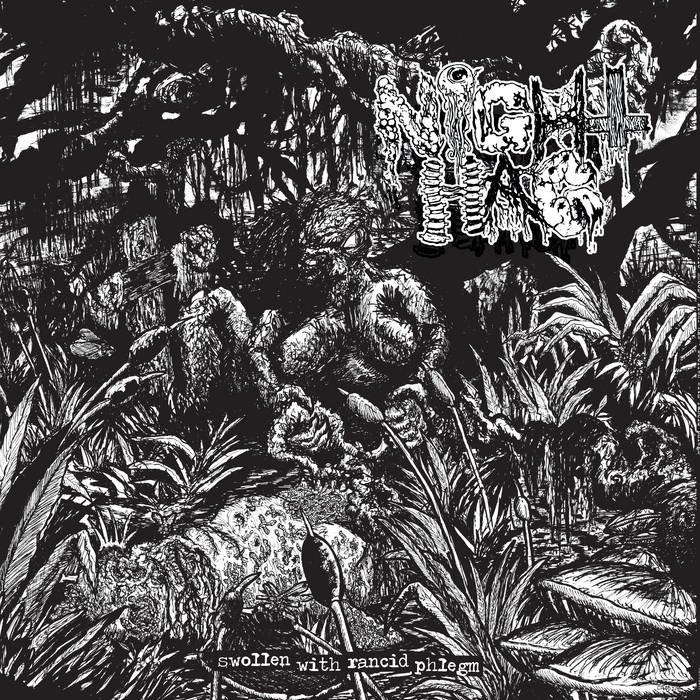 CD Shop - CRYPTIC BROOD & NIGHT HAG SWOLLEN WITH RANCID PH...