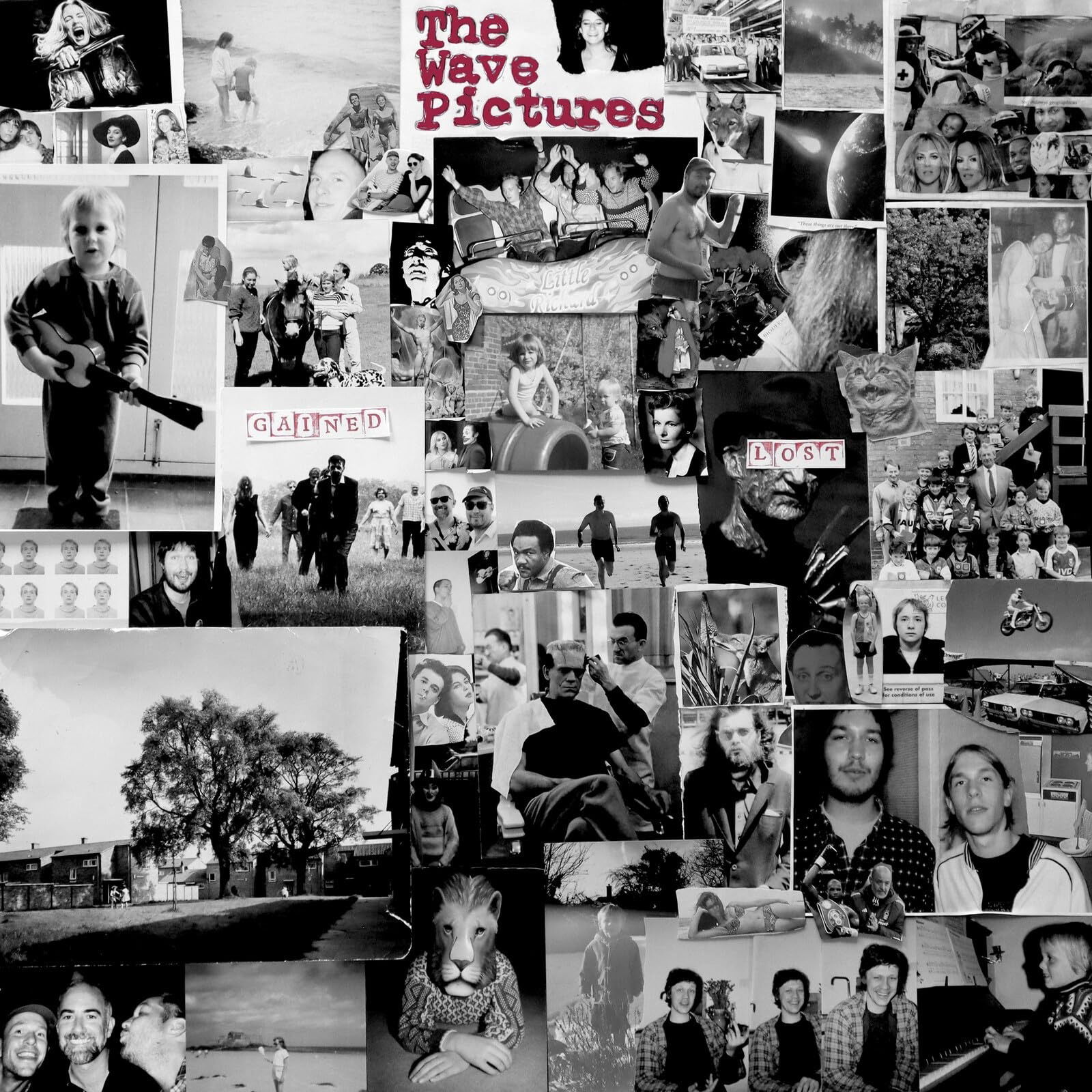 CD Shop - THE WAVE PICTURES GAINED/LOST