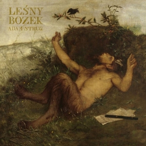 CD Shop - ADAM STRUG LESNY BOZEK