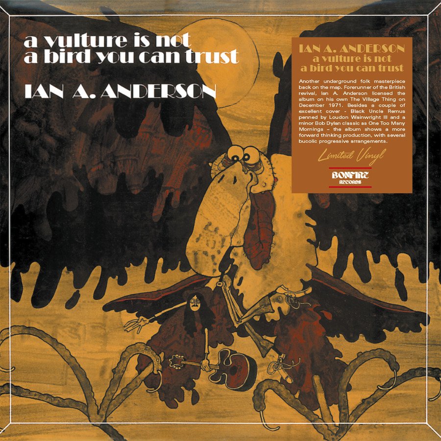 CD Shop - IAN A. ANDERSON A VULTURE IS NOT A BIR...
