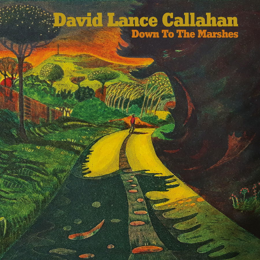 CD Shop - DAVID LANCE CALLAHAN DOWN TO THE MARSHES