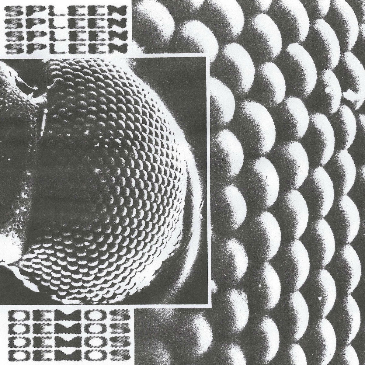 CD Shop - SPLEEN DEMOS