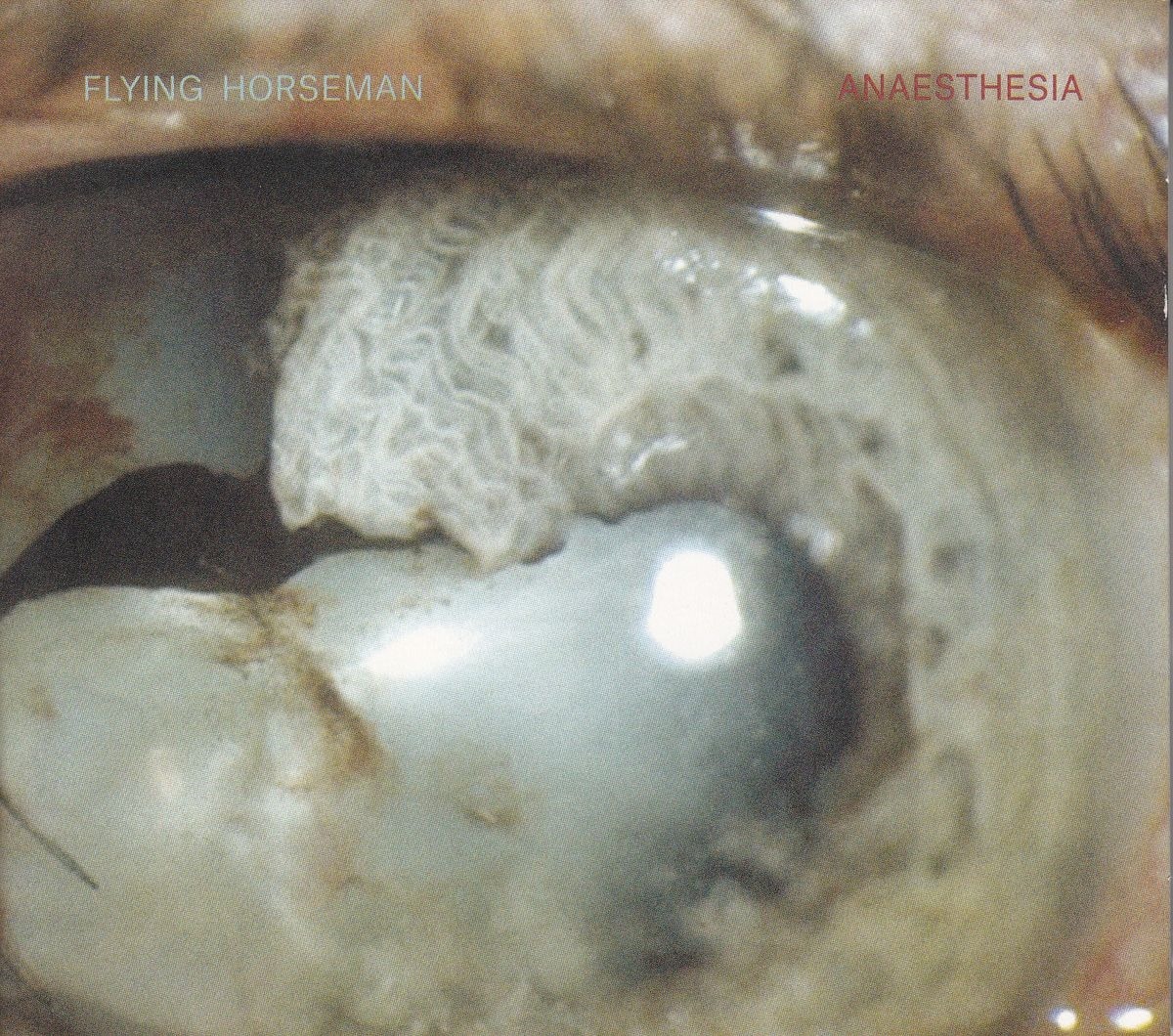CD Shop - FLYING HORSEMAN ANAESTHESIA