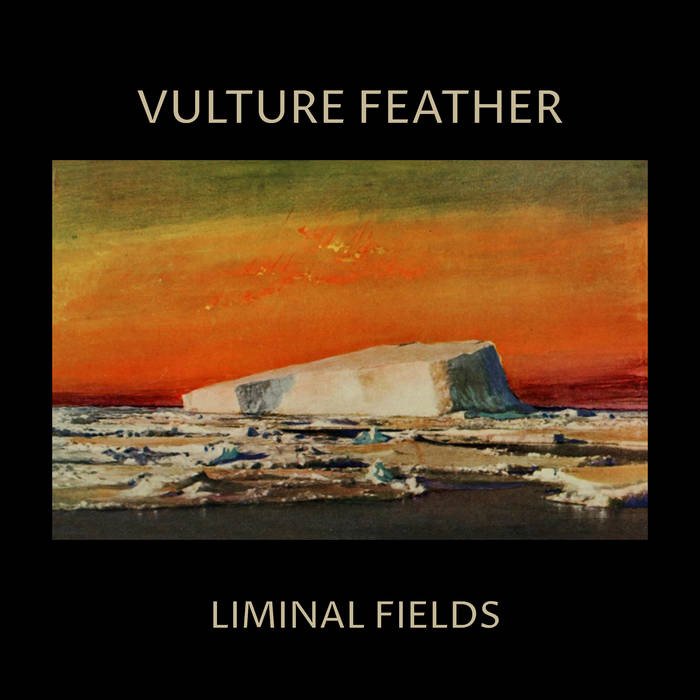 CD Shop - VULTURE FEATHER LIMINAL FIELDS (BONE)