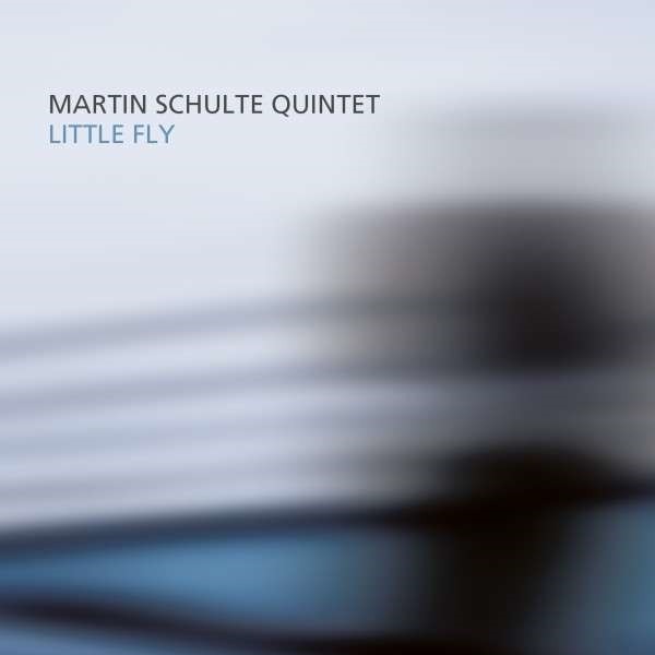 CD Shop - MARTIN SCHULTE NEXT GATE QUINTET LITTLE FLY