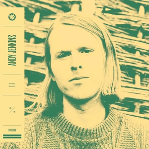 CD Shop - ANDY JENKINS SWEET BUNCH