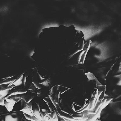 CD Shop - HEXIS & TELOS SPLIT