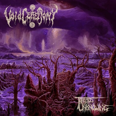 CD Shop - VOIDCEREMONY THREADS OF UNKNOWING BLAC